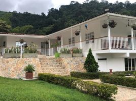 4 Schlafzimmer Villa zu verkaufen in Cordillera, Santiago, Pirque