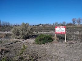  Grundstück zu verkaufen in San Rafael, Mendoza, San Rafael