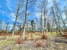  Land for sale in Pitrufquen, Cautin, Pitrufquen