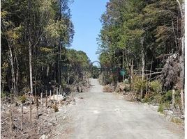  Terreno (Parcela) en venta en Puerto Montt, Llanquihue, Puerto Montt