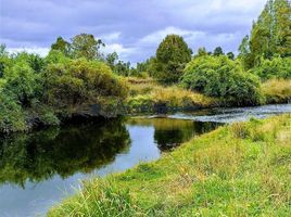  Terreno (Parcela) en venta en Los Muermos, Llanquihue, Los Muermos