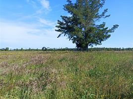  Terreno (Parcela) en venta en Frutillar, Llanquihue, Frutillar