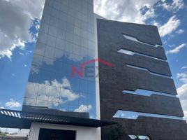 411 m2 Office for rent in Coahuila, Saltillo, Coahuila