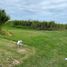  Land for sale in Altamira, Tamaulipas, Altamira