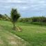  Land for sale in Altamira, Tamaulipas, Altamira