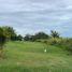  Land for sale in Altamira, Tamaulipas, Altamira