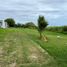 Land for sale in Altamira, Tamaulipas, Altamira