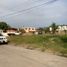  Land for sale in Altamira, Tamaulipas, Altamira