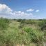 Terreno (Parcela) en venta en Tampico, Tamaulipas, Tampico