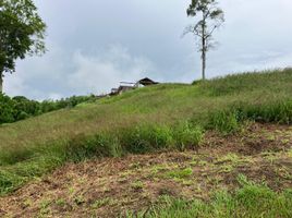  Land for sale in Manizales, Caldas, Manizales