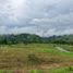  Land for sale in Manizales, Caldas, Manizales