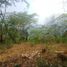  Land for sale in Teapa, Tabasco, Teapa, Tabasco