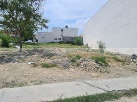  Terreno (Parcela) en alquiler en Apodaca, Nuevo León, Apodaca, Nuevo León