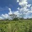  Land for sale in Seye, Yucatan, Seye