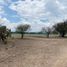  Terreno (Parcela) en venta en Huimilpan, Querétaro, Huimilpan