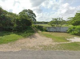  Land for sale in Tixkokob, Yucatan, Tixkokob