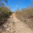  Land for sale in Tixkokob, Yucatan, Tixkokob