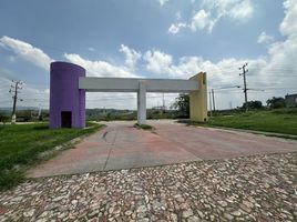  Grundstück zu verkaufen in Tala, Jalisco, Tala
