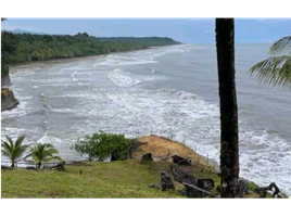  Terrain for sale in Veraguas, Calovebora, Santa Fe, Veraguas