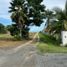  Terrain for sale in Anton, Cocle, Rio Hato, Anton