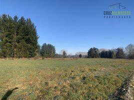  Terreno (Parcela) en venta en Frutillar, Llanquihue, Frutillar