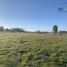  Land for sale in Frutillar, Llanquihue, Frutillar