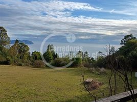  Terreno (Parcela) en venta en Valdivia, Los Ríos, Valdivia, Valdivia