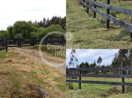  Terreno (Parcela) en venta en Calbuco, Llanquihue, Calbuco