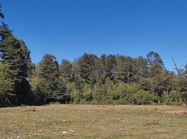  Terreno (Parcela) en venta en Chile, Villarrica, Cautín, Araucanía, Chile