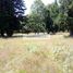  Land for sale in Pucon, Cautin, Pucon