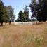  Land for sale in Pucon, Cautin, Pucon