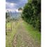  Land for sale in Guarne, Antioquia, Guarne