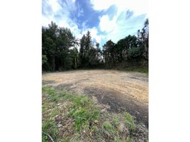  Land for sale in Guarne, Antioquia, Guarne