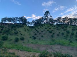  Terreno (Parcela) en venta en Guarne, Antioquia, Guarne