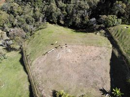  Land for sale in El Carmen De Viboral, Antioquia, El Carmen De Viboral