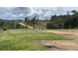  Terreno (Parcela) en venta en Retiro, Antioquia, Retiro, Antioquia