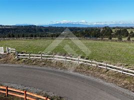  Terreno (Parcela) en venta en Puerto Varas, Llanquihue, Puerto Varas