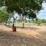  토지을(를) Dist Ocotlan, 오악 사카에서 판매합니다., Dist Ocotlan