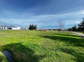  Land for sale in San Vicente, Buenos Aires, San Vicente