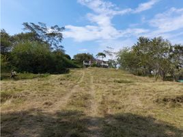  Terreno (Parcela) en venta en Melgar, Tolima, Melgar