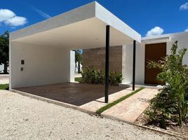 2 Schlafzimmer Villa zu verkaufen in Merida, Yucatan, Merida