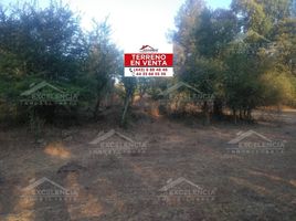  Terreno (Parcela) en venta en Salvador Escalante, Michoacán, Salvador Escalante