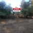  Land for sale in Salvador Escalante Michoacan, Salvador Escalante