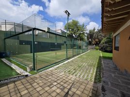 3 Bedroom Villa for rent in Alvaro Obregon, Mexico City, Alvaro Obregon, Mexico City