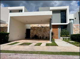 Appartement 4 chambre à vendre à Merida, Yucatan, Merida