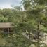 4 Habitación Casa en venta en Tapalpa, Jalisco, Tapalpa