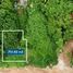 Terreno (Parcela) en venta en Dist Pochutla, Oaxaca, Dist Pochutla