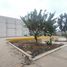 在Lurin, Lima出售的 土地, Lurin