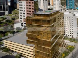 371 m2 Office for rent in Monterrey, Nuevo Leon, Monterrey
