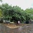  Land for sale in Colima, Colima, Colima, Colima